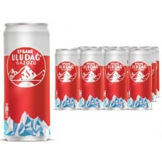 GAZOZ 24X330ML ULUDAG (TURKISH)